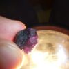 Alexandrite Chrysobéryl brut 4,8 GR Ultra Rare Collection Piece de musée ref 3392