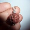 Pendentif Rudraksha perles 17-19 mm