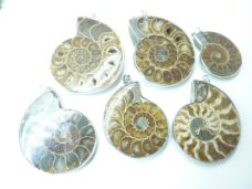 Pendentif Ammonite