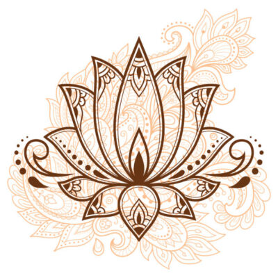 Connaissez vous la signification et symbole de la Fleur de lotus ?