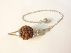 Pendule divinatoire Rudraksha 5 faces-Radiesthésie
