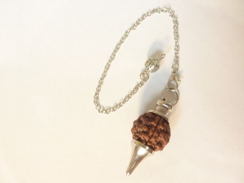 Le Rudraksha sacré Depuis des milliers d’années, les graines de Rudraksha ont été utilisées comme perles de prière ou comme bijoux dans des cultures anciennes . Ces graines sacrées viennent de l’arbre Rudraksha qui pousse dans le nord de l’inde , dans l’Himalaya en Asie et en Australie. Les graines de Rudraksha sont aussi les larmes de de Shiva ,venant de sa compassion pour l’humanité. Dans la tradition Hindou ,les valeurs et les bénéfices des graines de Rudraksha sont distingués par rapport au nombre de faces,. Le plus commun possède 5 faces ,très bénéfique pour notre développement vers la réalisation du soi . Il représente aussi une aide pour la paix, pour le coeur et favorise la circulation sanguine. Il est scientifiquement reconnu pour ses propriétés électro-magnétique, propice pour la concentration et la force mentale. Les graines de Rudraksha sont idéales pour les pratiques spirituelles. Dans la médecine Ayurvédique, les Rudrakshas sont utilisés pour traiter l’hypertension, les allergies, les maladies neurologiques ,l’asthme, le diabète. Le Rudraksha symbolise aussi la graine de l’éveil spirituel en nous et le porter nous rappelle cette vérité sacrée. Retrouvez tous les bijoux en Rudraksha ICI