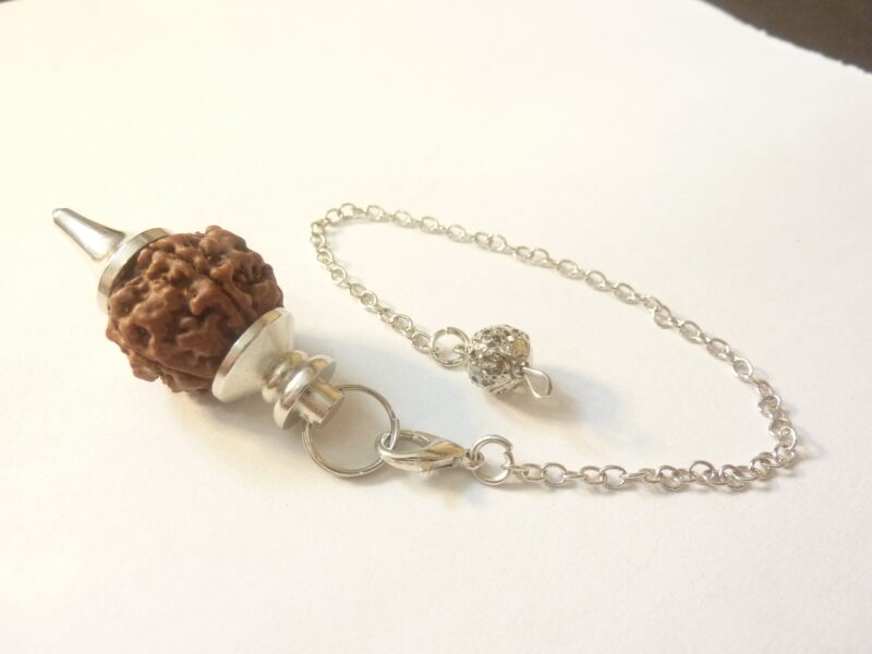 Le Rudraksha sacré Depuis des milliers d’années, les graines de Rudraksha ont été utilisées comme perles de prière ou comme bijoux dans des cultures anciennes . Ces graines sacrées viennent de l’arbre Rudraksha qui pousse dans le nord de l’inde , dans l’Himalaya en Asie et en Australie. Les graines de Rudraksha sont aussi les larmes de de Shiva ,venant de sa compassion pour l’humanité. Dans la tradition Hindou ,les valeurs et les bénéfices des graines de Rudraksha sont distingués par rapport au nombre de faces,. Le plus commun possède 5 faces ,très bénéfique pour notre développement vers la réalisation du soi . Il représente aussi une aide pour la paix, pour le coeur et favorise la circulation sanguine. Il est scientifiquement reconnu pour ses propriétés électro-magnétique, propice pour la concentration et la force mentale. Les graines de Rudraksha sont idéales pour les pratiques spirituelles. Dans la médecine Ayurvédique, les Rudrakshas sont utilisés pour traiter l’hypertension, les allergies, les maladies neurologiques ,l’asthme, le diabète. Le Rudraksha symbolise aussi la graine de l’éveil spirituel en nous et le porter nous rappelle cette vérité sacrée. Retrouvez tous les bijoux en Rudraksha ICI