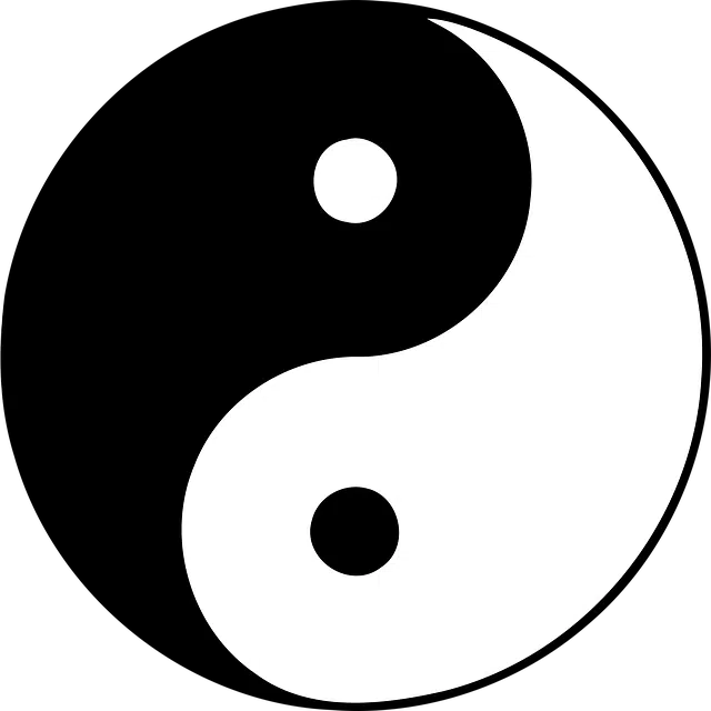 Yin Yang : définition et symbolique de cet emblème sacré