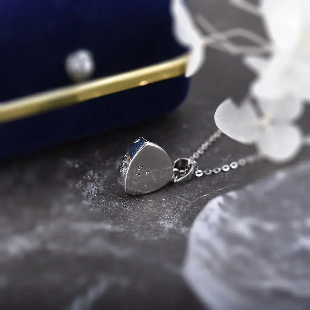 Pendentif protection Labradorite + chaine acier inoxydable 50 cm