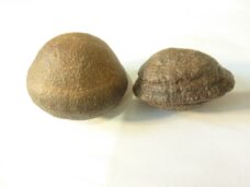 Moquis (Boji)