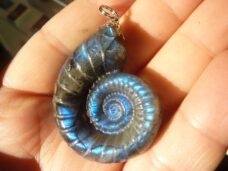 Pendentif amonite Labradorite spécial pour thérapeute 22 gr GG 4710