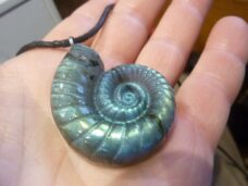 Pendentif amonite Labradorite spécial pour thérapeute 25 gr GG 0311